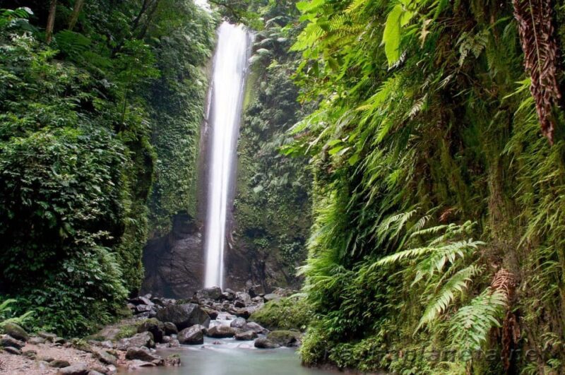 Dumaguete Half Day Valencia W/ Casaroro Falls (Private Tour) - Booking and Flexibility