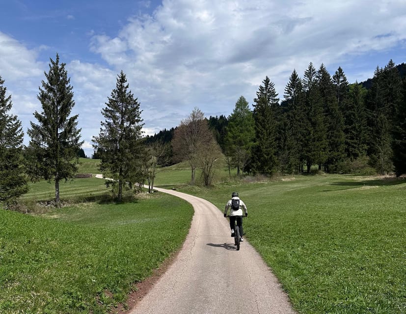 E-BIKE EXPERIENCE TOUR: Andalo - Fai - Fausior Mount - Exploring Local Vegetation and Fauna