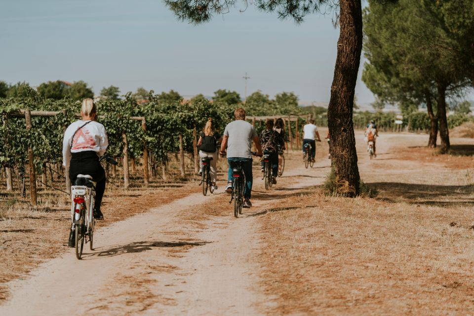 E-Bike Tour & Picnic in an Exclusive Winery Estate - Tour Starting Location and Activities