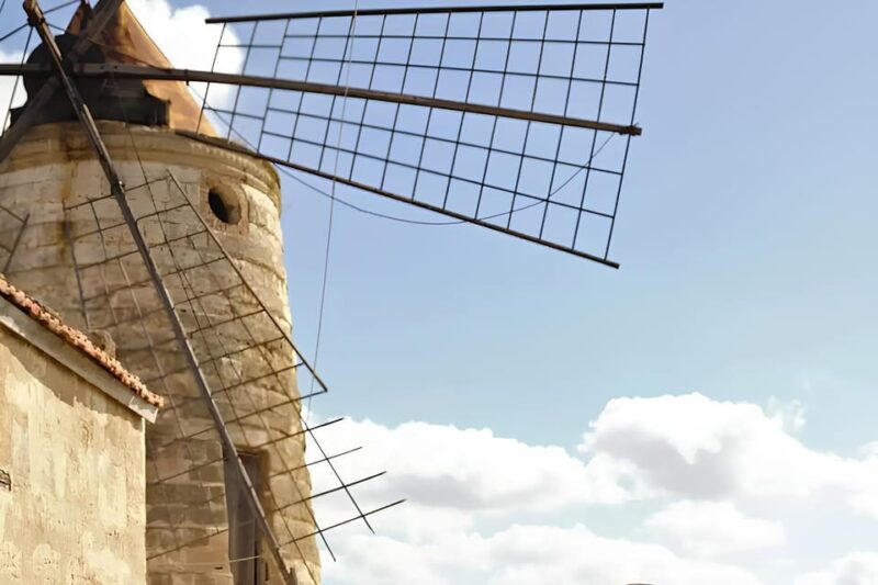 E-Bike Tour to the Salt Pans of Trapani - 3 Hours - Inclusions