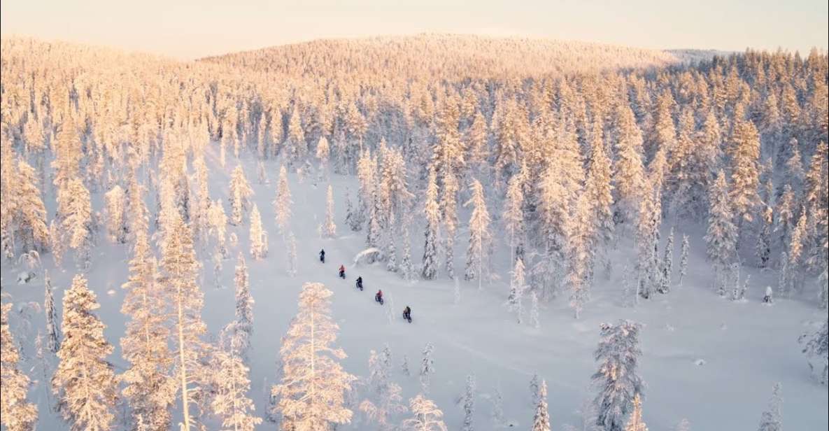 E-Fatbike Experience in Small Groups - Included Amenities