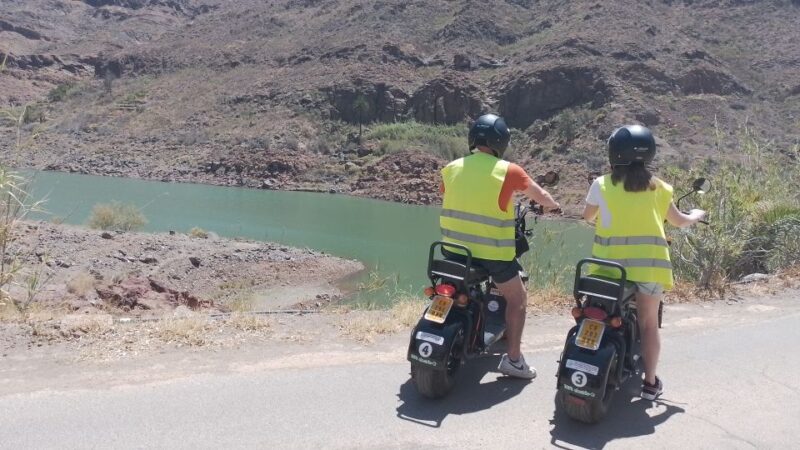 E-Scooter Mountain Tour Inside Natural Park Optional Tapas - Driving License and Age Restrictions