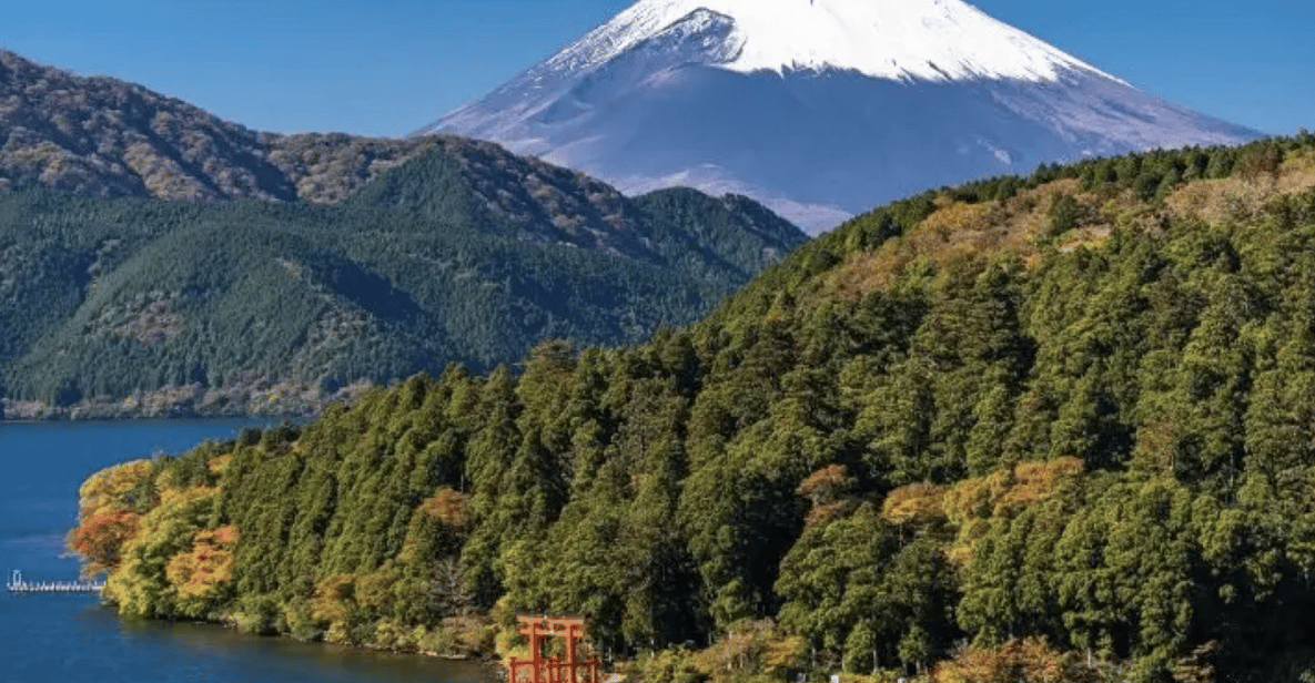 【Muslim Friendly】 Hakone 1-Day Private Tour - Recap