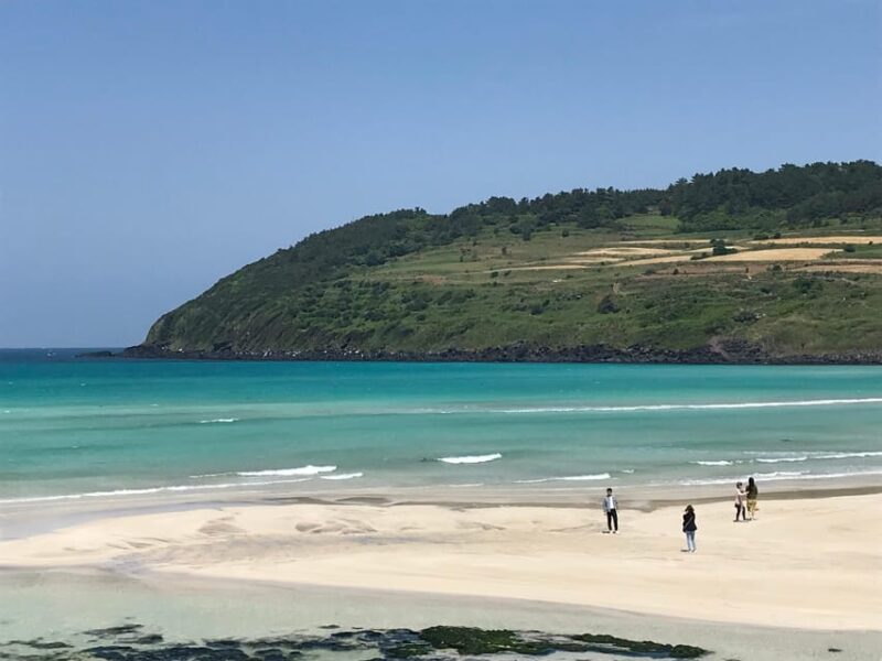 East of Jeju Island Bus Tour From Seogwipo City, Jeju Island - Seopjikoji Trails