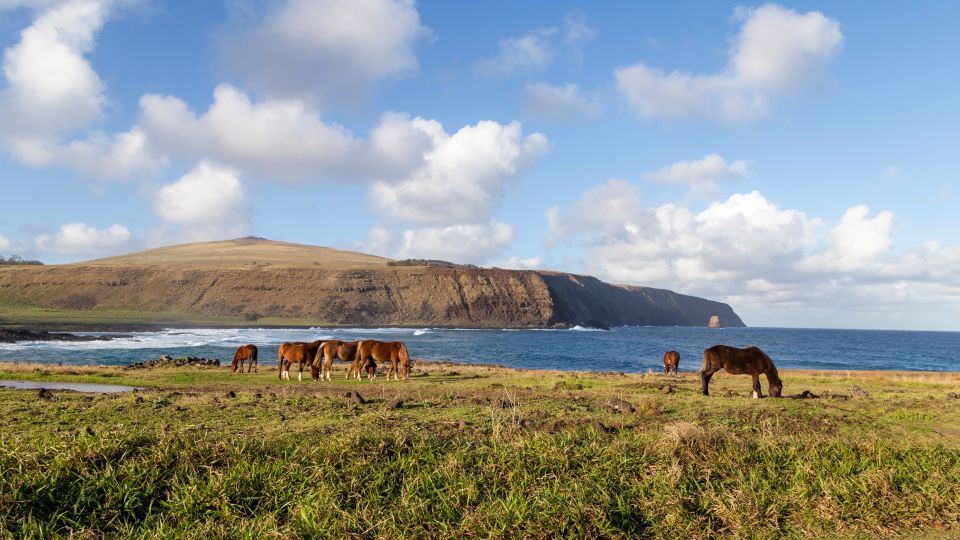 Easter Island: Discovering the North Coast of Rapa Nui - Anakena Beach Highlights