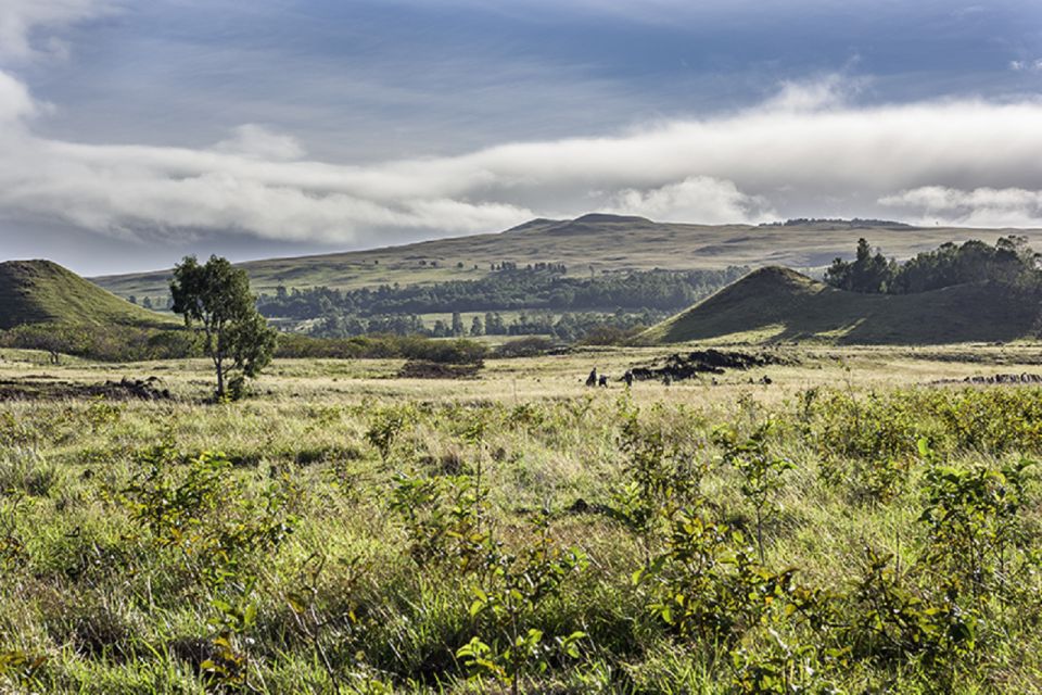 Easter Island: Terevaka Summit Hike Private Half-Day Trip - Participant Requirements