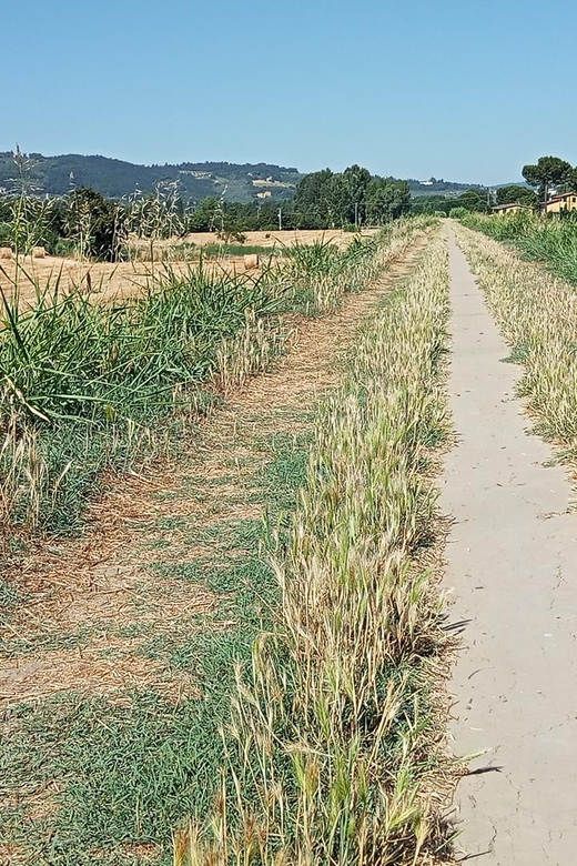Easy Gravel Bike Tour With Organic Pic Nic in the Park - Bike Rental Options