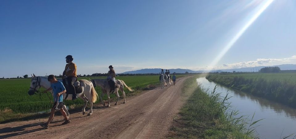 Ebro Delta National Park: Guided Horseback Riding Tour - Duration and Group Size