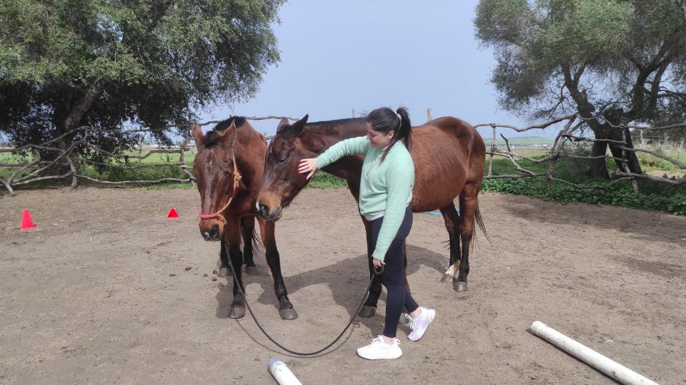 El Palmar: Reconnect Thanks to Coaching With Horses - Nature-Filled Session Environment