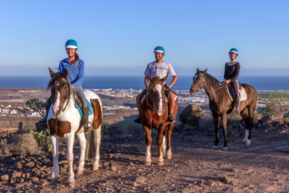 El Salobre: Horse Riding Adventure With Transfer Options - Customer Feedback and Ratings