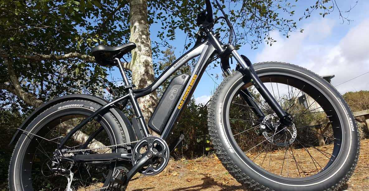 Electric Bike Rentals - 4 Hours & Free Delivery! - Experience for All Skill Levels