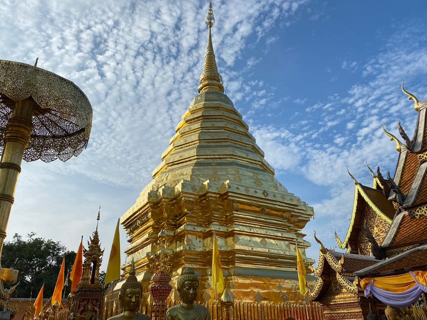 Elephant Care With Wat Umong, Doi Suthep and Night City View - Prohibited Activities