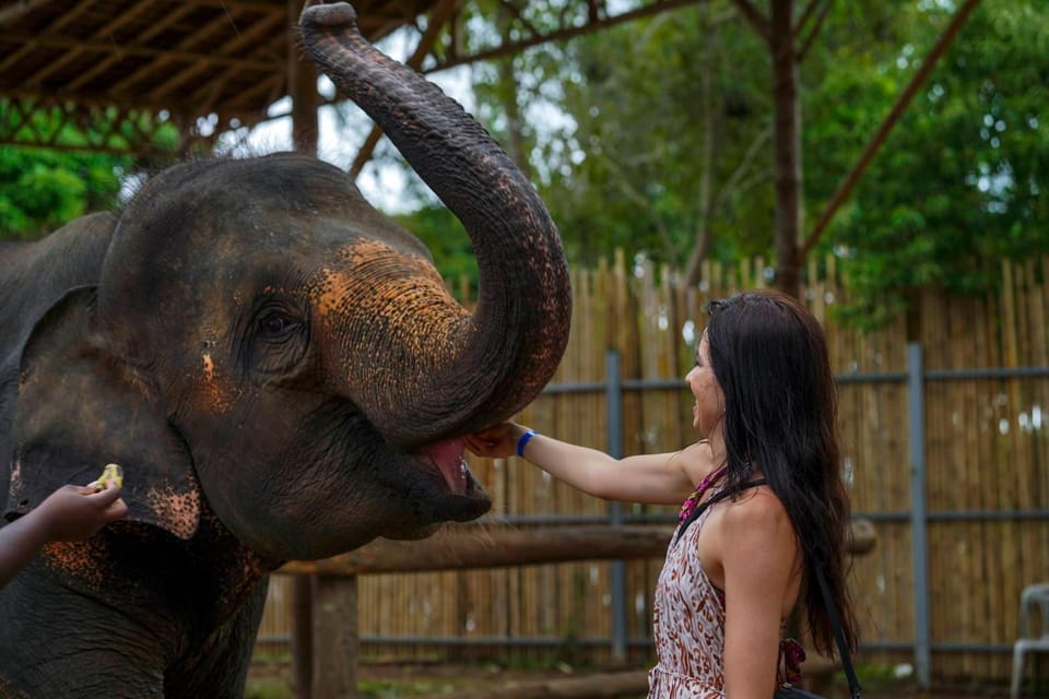 Elephant Feeding Program With Sea View (Feeding Only) - Accessibility