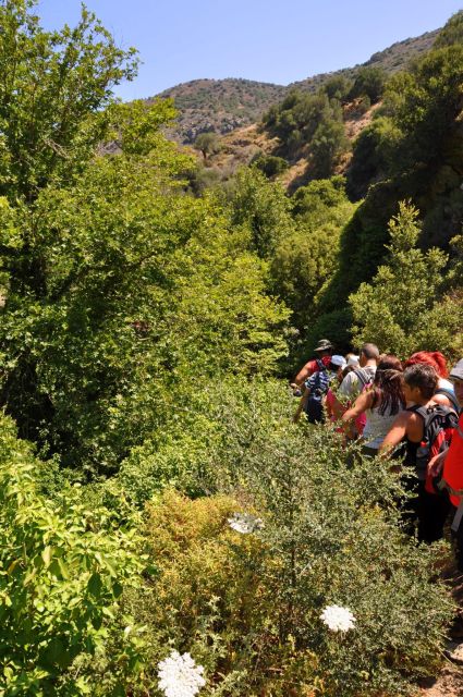 Elounda: Private Tour to Rihti Waterfalls and Mochlos - Inclusions and Amenities