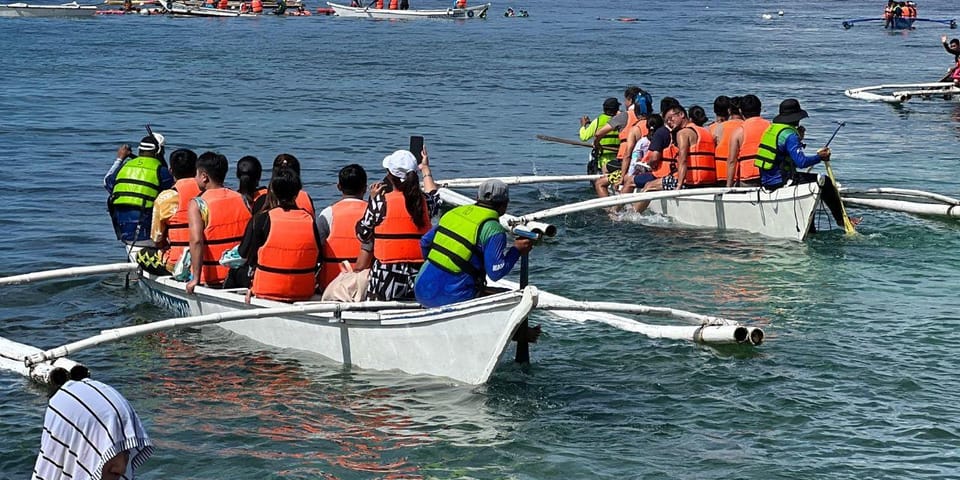 Encounter Giants: Taug Whaleshark Snorkeling Adventure Tour - Guided Tour Experience