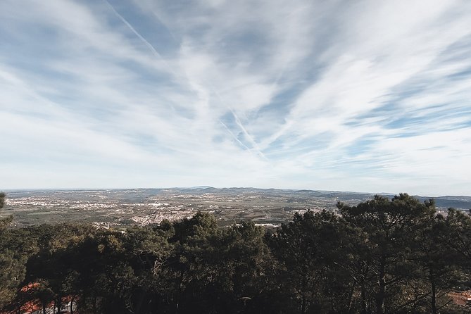 Epic Off-Road Adrenaline in Sintra - Customer Ratings and Reviews