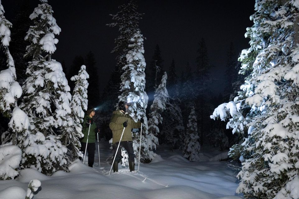 Evening Ski Trek to the Wilderness - Extra Small Group - Important Information