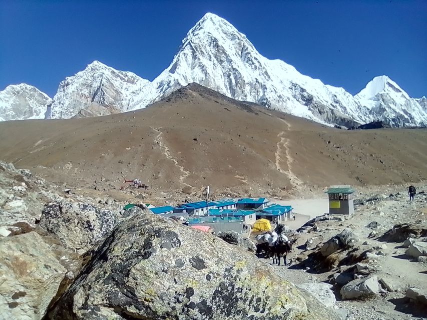 Everest Base Camp: 12-DAY Trek From Kathmandu - Highlights of the Trek