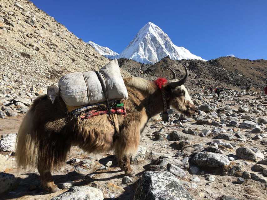 Everest Base Camp Trek by Helicopter Return -11 Days - Important Information