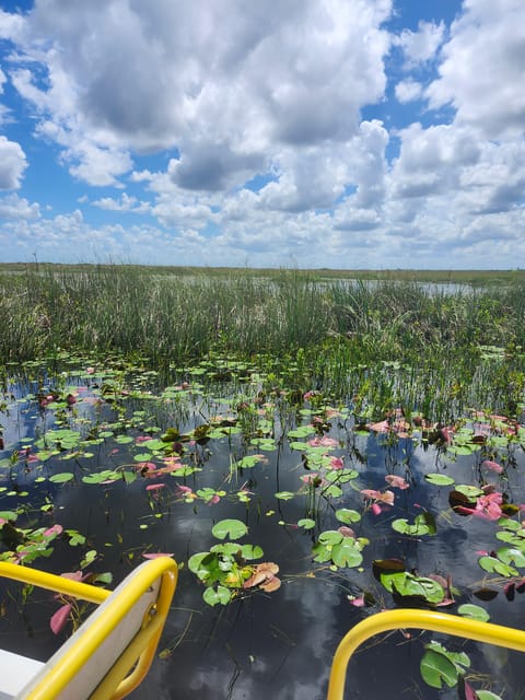 Everglades Eco Tour With Private Luxury Transportation - Wildlife Viewing Opportunities