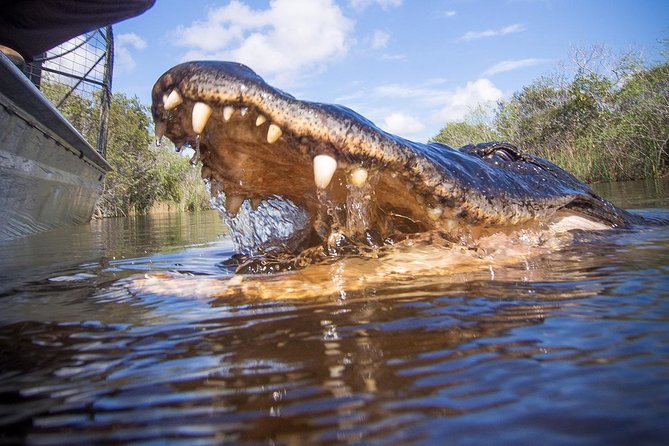 Everglades & Miami City Tour With Experienced Guide in Small Group - Tour Schedule