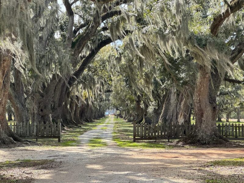 Evergreen Plantation Full Access Private Tour - Tour Details