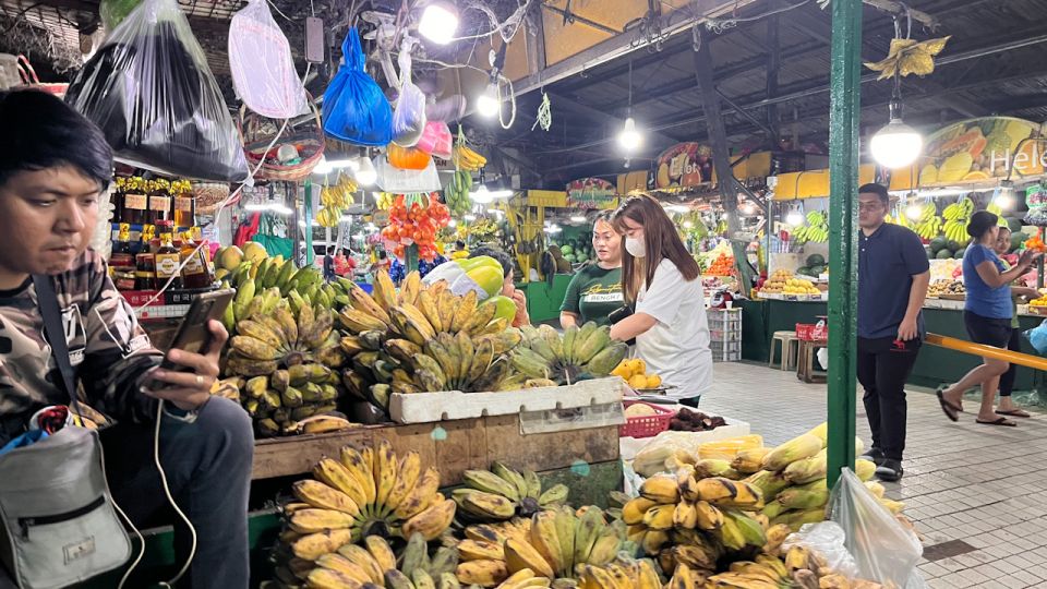 (Excursion) Day Tour in Manila - Inclusions