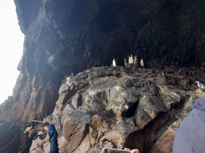 Excursion the Ballestas Islands - Whats Included and Excluded