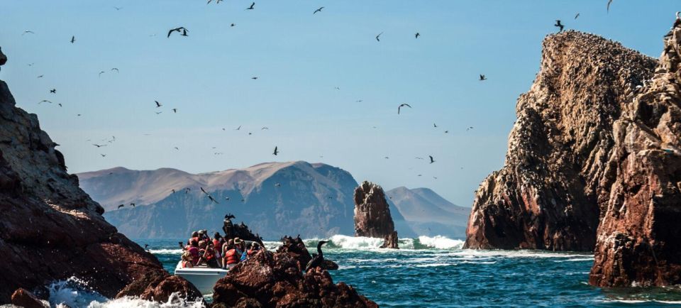 Excursion to Ballestas Islands and Paracas National Reserve - Customer Feedback