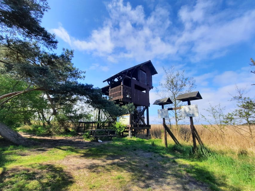 Explore Sobieszewo Island: Nature Walk & Wildlife Tour - Learning Opportunities