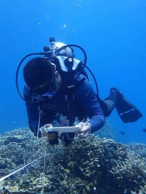 Explore the Mangroves and Coral Reefs of Malaysia - Local Community Engagement