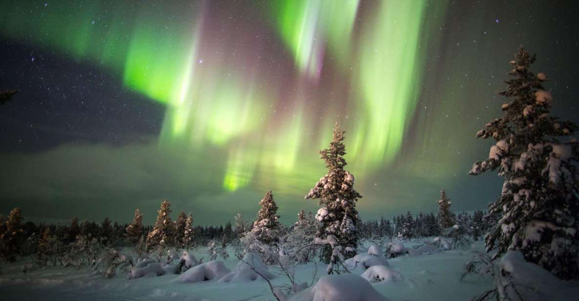 Exploring the Northern Lights by Car - Family Participation Guidelines