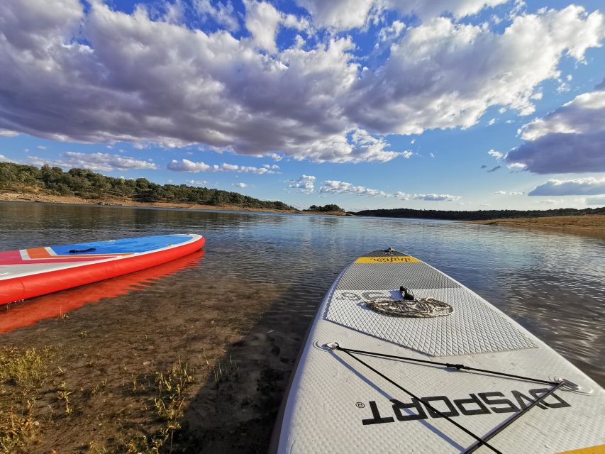 Extremadura: Paddle Surf Guided Tour on Valdecañas Reservoir - Paddle Surfing Techniques