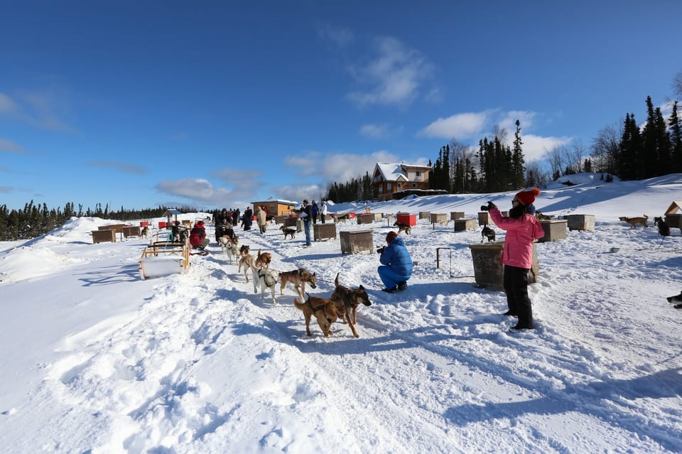 Fairbanks: 1-Hour Alaskan Winter Dog Sledding Adventure - Customer Ratings and Reviews