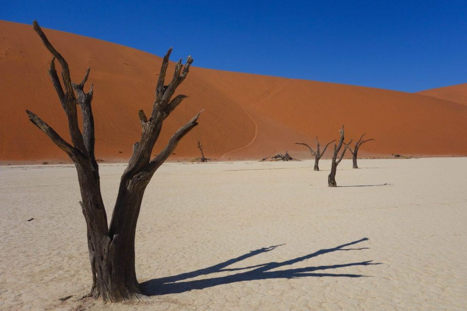 Family Joy in Fuerteventura Walking Tour - Inclusions of the Tour