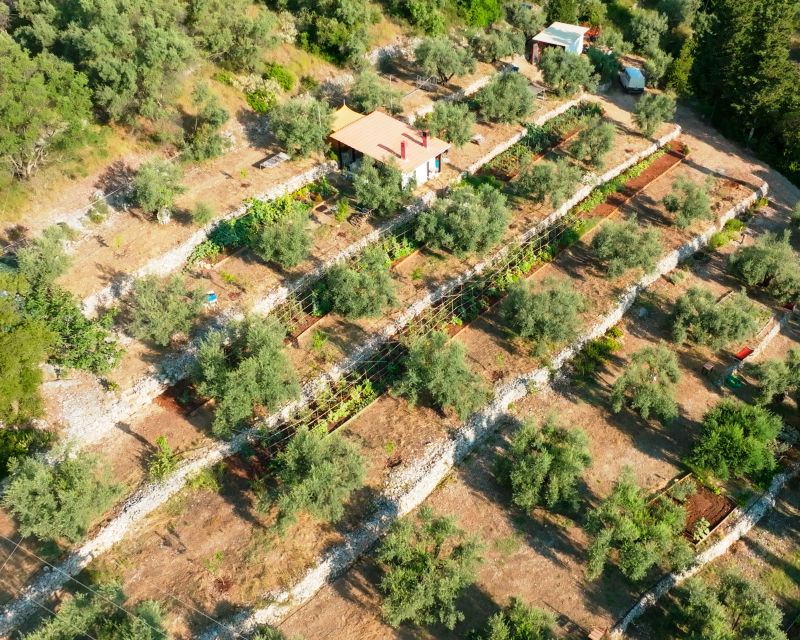 Farm-to-Table Private Dining @ Lefkada Micro Farm - Farm and Culinary Experience