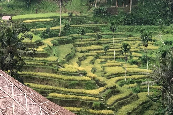 Farmer Market, Waterfalls, Holy Spring & Rice Terraces, Private Tours - Discovering Seribatu Village