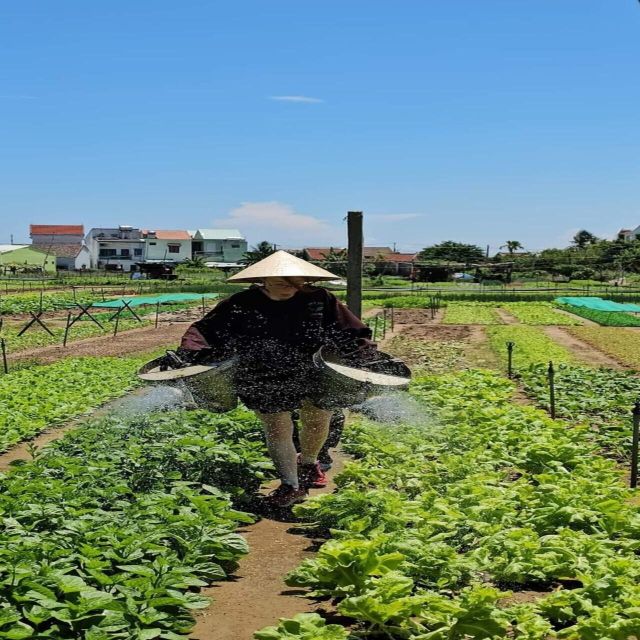 Farming - Local Market - Cooking Class In Tra Que Vegetable - Excluded Items