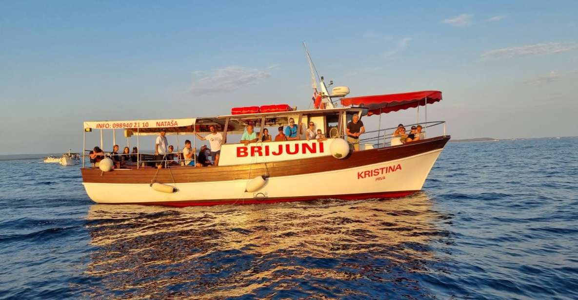 Fazana: Guided Dolphin Watching Sightseeing Cruise at Sunset - What to Expect Onboard