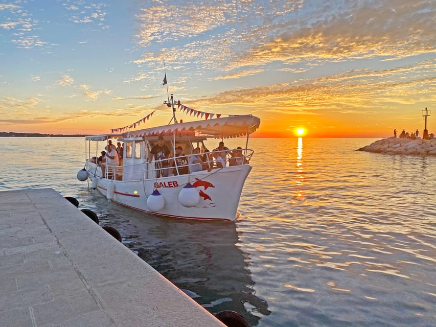 Fazana: Sunset Dolphin Cruise in Brijuni Park - Meeting Point and Important Information