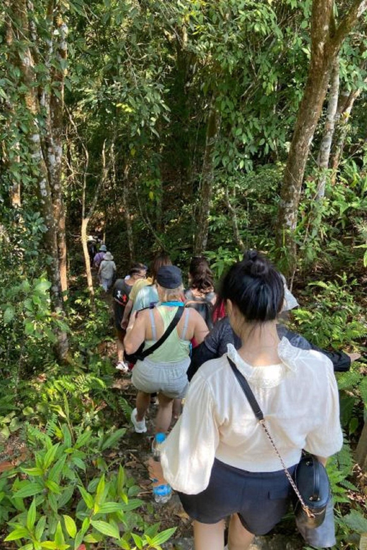 FFOM HUE : TOUR TREKKING HUE - BACH MA NATIONAL PARK DAILY - Morning Activities