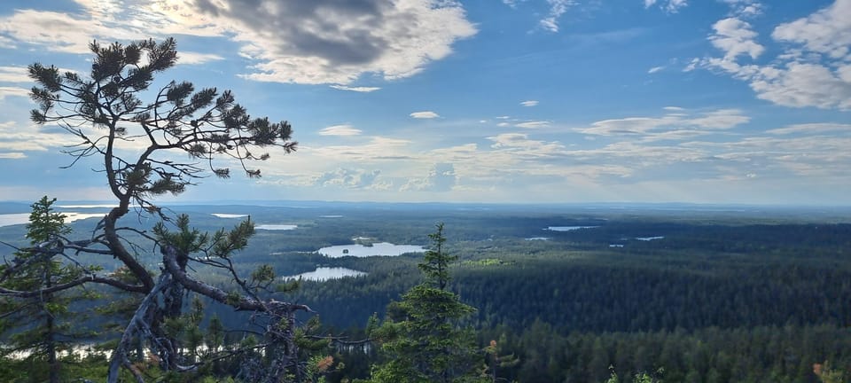 Finnish Lapland: Midnight Sun Walk in Riisitunturi Park - Highlights of the Experience