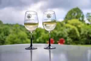 Fire Mountain Review Travel Buddies