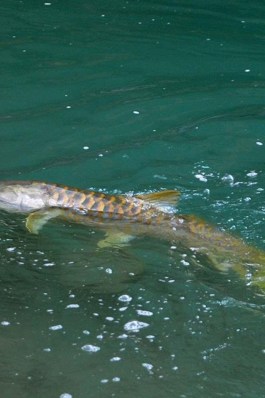 First Hand Fishing Experience in Pokhara - Local Fishing Regulations