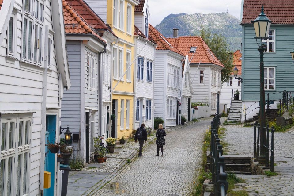 Flåm: Borgund Stave Church, Lærdal, and Stegastein Tour - Participant Information