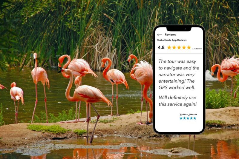 Florida: Big Cypress, Everglades, and Overseas Highway … - Utilizing the Shaka Guide App