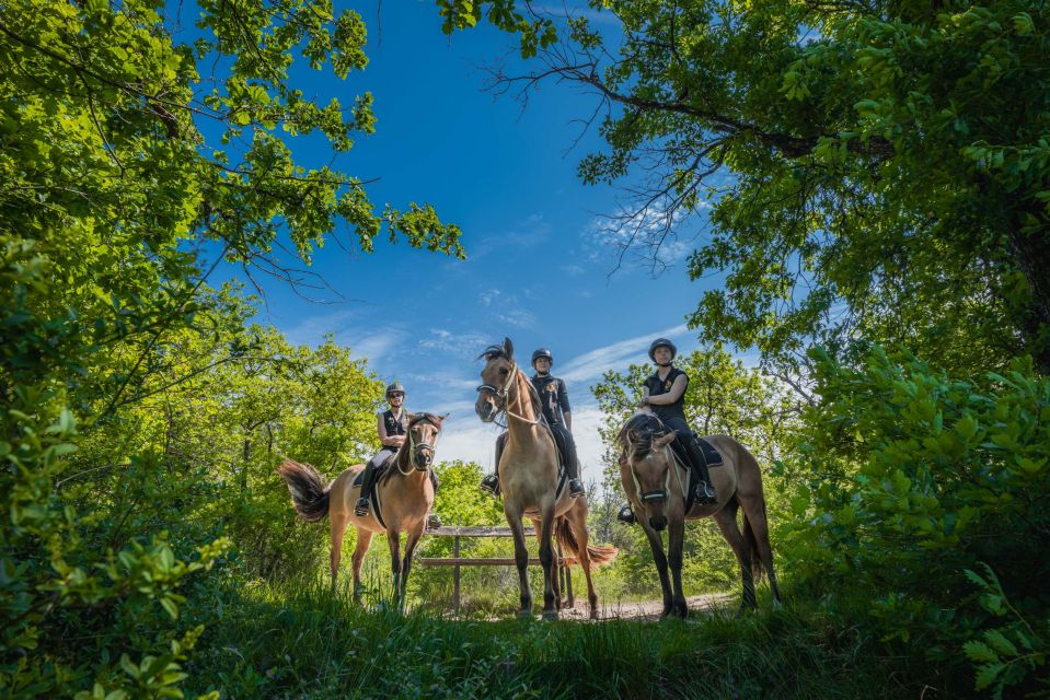 Fontainebleau: Horse-riding, Gastronomy & Château - Gastronomic Delights