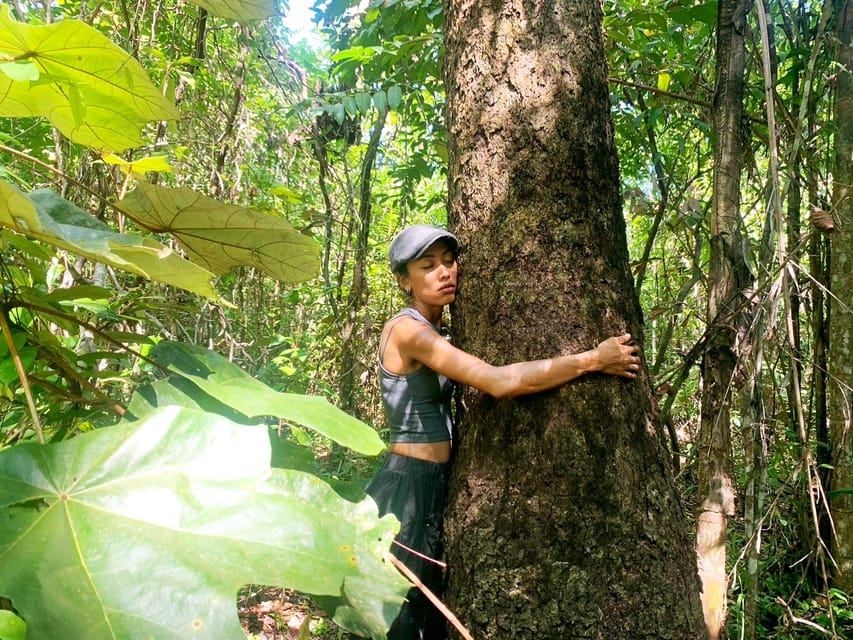 Forest Bathing & Nature Retreat & Aroma Blending Workshop - Eco-Certified and Sustainable