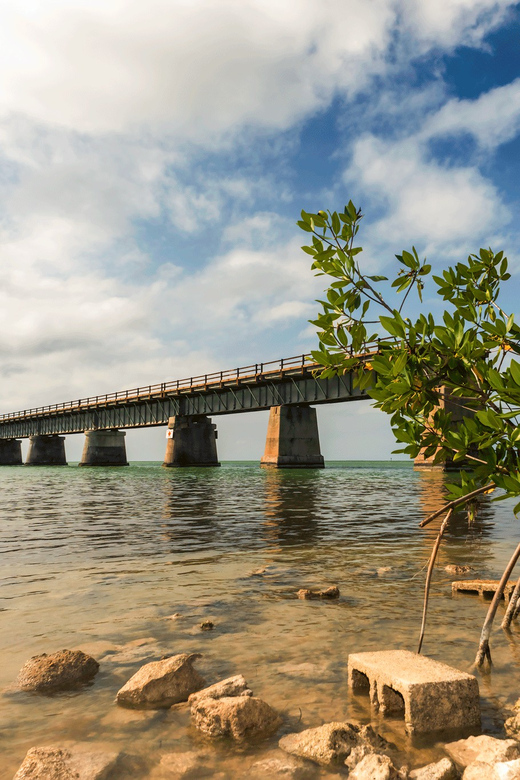 Fort Lauderdale to Key West Day Trip - Activities in Key West