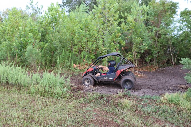 Fort Meade : Orlando : Dune Buggy Adventures - Customer Reviews and Feedback